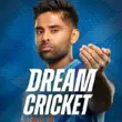 Dream Cricket 2024 APK